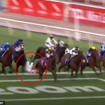 Veteran Aussie jockey taken to hospital after suffering horror fall at Flemington