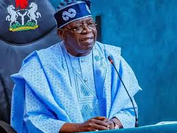 NCSCN Faults Tinubu Over Delay In Appointing Ambassadors