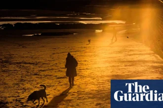 How scientists are shining light on the biology behind seasonal affective disorder | Mental health