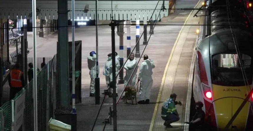 Mass Stabbing Rocks Doncaster–London Train, Nine in Critical Condition — Akelicious