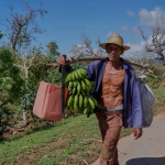 Hurricane Melissa deals another heavy blow to Jamaica’s farmers and fishers