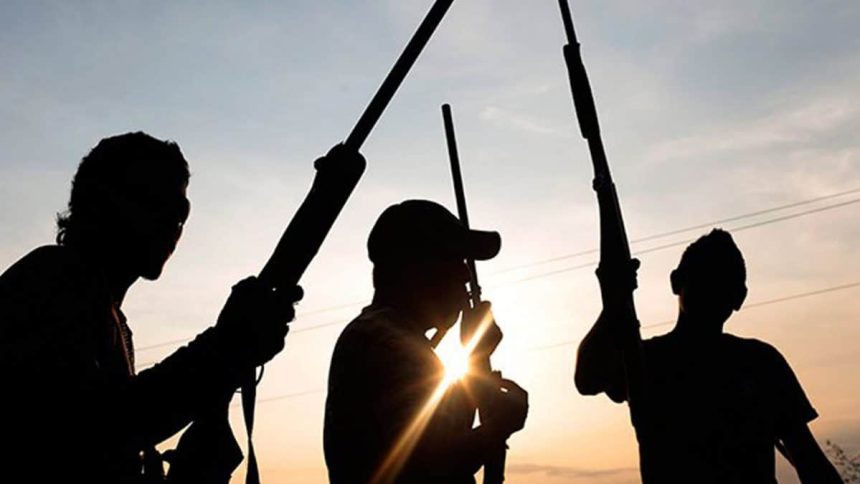 Gunmen attack federal lawmaker in Niger