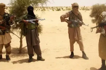 Terrorists Dump Two Kidnapped Boys, Huge Ransom In Borno
