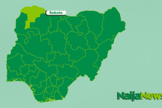 Police Arrest Three Bandit Financiers, Recover Rustled Cattle in Sokoto