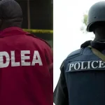 NDLEA intercepts large consignments in 7 states, arrests over 15 suspects