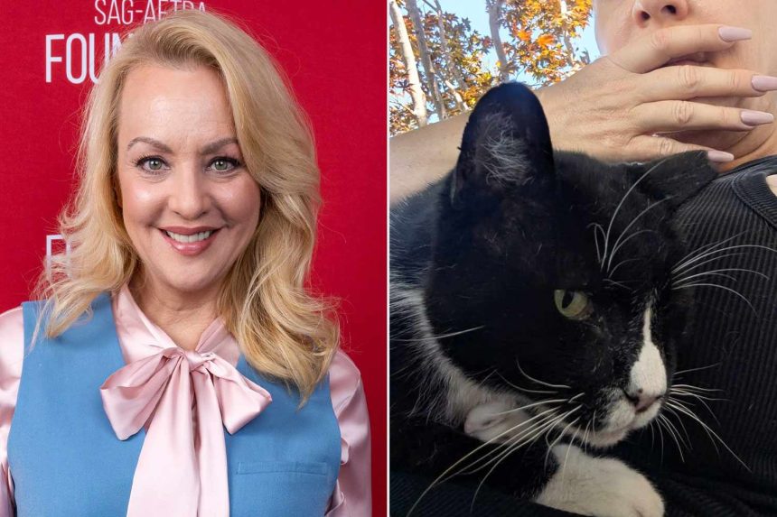 Wendi McLendon-Covey Shares Why She Embraces Being ‘Crazy’ Cat Lady (Exclusive)