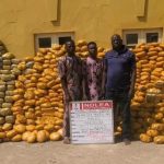 NDLEA Uncovers Illegal Colorado Drug Lab In Lagos, Arrests 30-Year-Old Suspect