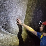 World’s biggest spiderweb discovered inside ‘Sulfur Cave’ with 111,000 arachnids living in pitch black