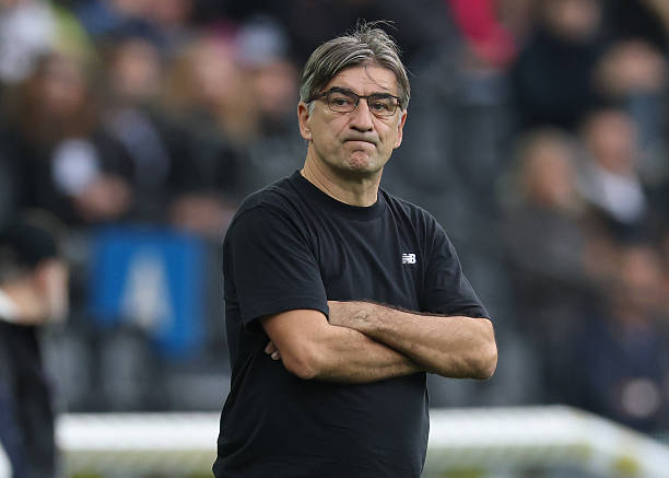 Maduka Okoye Keeps First Clean Sheet as Udinese Stun Atalanta