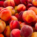 White and yellow peaches sold nationwide recalled over Listeria fears