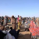 Al Jazeera reports from Sudan displacement camp as thousands flee el-Fasher | Military