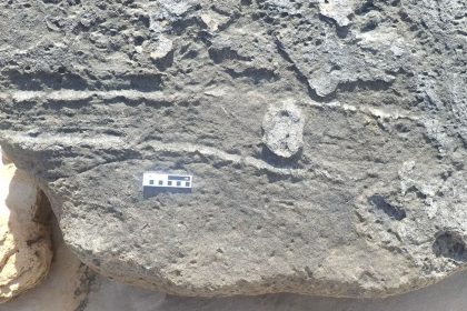 First of its kind ‘butt drag fossil’ discovered in South Africa — and it was left by a fuzzy elephant relative 126,000 years ago