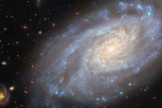 Hubble sees spiral galaxy in Lion’s heart photo of the day for Nov. 4, 2025