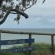 Girl, 17, plunges to her death while trying to take photo on Moffat Beach cliff