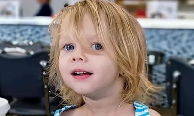 Girl, 2, mauled to death after being ‘left in room with dangerous, malnourished dog’