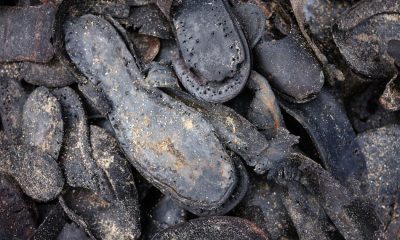 Mystery as hundreds of old-fashioned shoes dug up along Welsh beaches