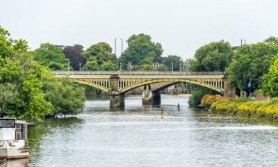 BREAKING: Man throws kittens into Thames and is heard saying 'let them die'
