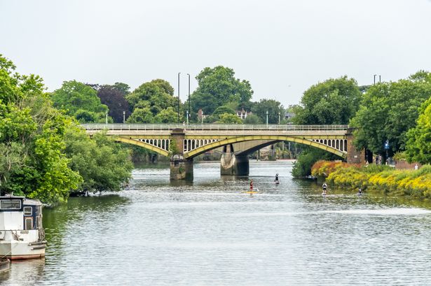 BREAKING: Man throws kittens into Thames and is heard saying 'let them die'