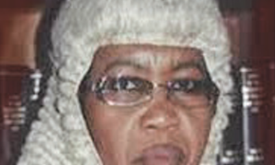 When Grievance Touching on Constitution’s Chapter IV Won’t Constitute Breach of Human Rights – THISDAYLIVE