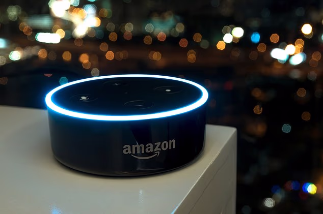 Revealed: Amazon Alexa’s most-asked questions of 2025 – including ‘how tall is Tom Cruise?’ and ‘how long do I poach an egg for?’