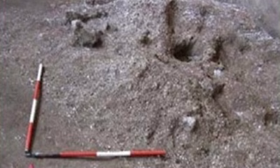 Discovery at Pompeii confirms long-lost secret that built the Roman Empire