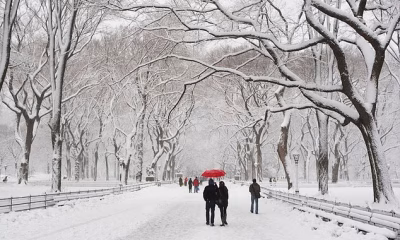 Quick-hitting storm to dump up to 3 inches of snow on NYC as weather warnings issued for East Coast