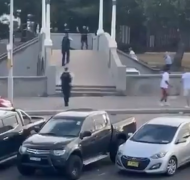 Moment hero confronts Bondi gunman and kicks his rifle away before being shot at by police and set upon by bystanders who mistook him for one of the shooters