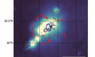 ‘What are they hiding?’ Bermuda Triangle conspiracy theories reignite online after scientists discover a giant structure hidden beneath Bermuda that is ‘unlike anything else on Earth’
