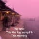 Pink fog descends over the UK: Brits are baffled as the skies turn rose-coloured due to rare weather phenomenon