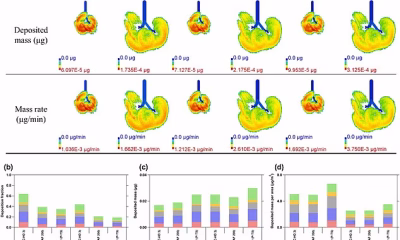 The common home appliances that emit TRILLIONS of harmful particles – with the toaster at the top of the list