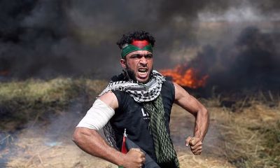 Gun-toting illegal boat migrant who called for ‘death to all Jews’ is freed to roam British streets… only days after Bondi Beach massacre