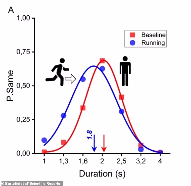 Time really does feel slower on the treadmill! Scientists reveal how running tricks your brain into overestimating duration