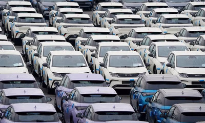 Death rates in hybrids ‘three times higher than petrol cars’ leading road safety experts to call for inquiry