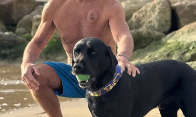How man’s best friend saves his owner’s life after pensioner collapsed on beach