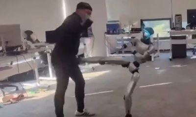 Ouch! Watch the eye-watering moment a man is kicked in the GROIN by a robot mimicking his movements