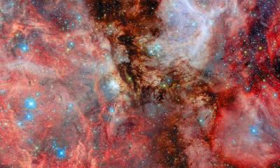 A snapshot of the universe at work: Incredible image shows ‘star-making factory’ inside a Large Magellanic Cloud