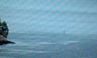 Nessie, is that you? Loch Ness Monster has been ‘spotted’ FIVE times this year, official records show