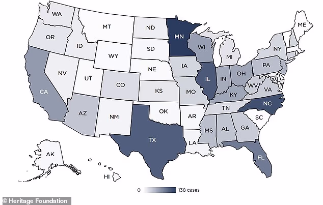 Somali daycare scandal sparks fears Minnesota’s elections have been rigged as ‘loophole made for fraud’ is exposed
