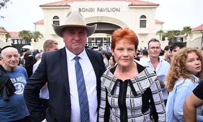 Pauline Hanson climbs the popularity charts in stunning turnaround for the One Nation leader – as Australia’s most popular politician is crowned