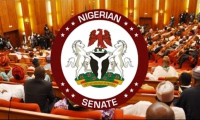 Fury in Senate as Tinubu’s Ambassadorial Nominee Fails to Name Ekiti’s Three Senators – THISDAYLIVE