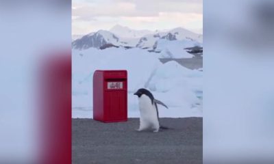 King sends post box to British scientists working in Antarctica | Lifestyle