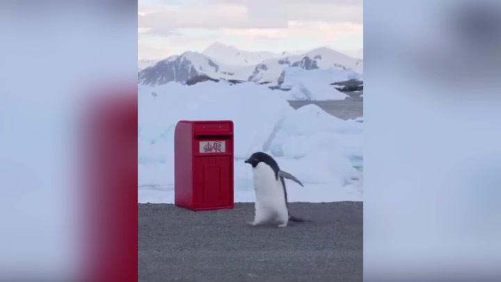 King sends post box to British scientists working in Antarctica | Lifestyle