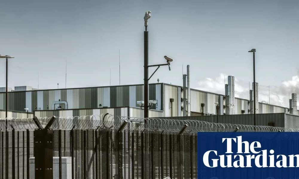 2025’s AI boom caused huge CO2 emissions and use of water, research finds | Artificial intelligence (AI)