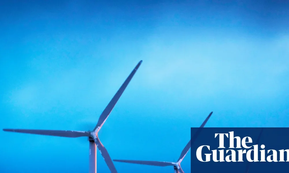 This year’s Christmas could be Britain’s greenest yet, energy operator says | Energy