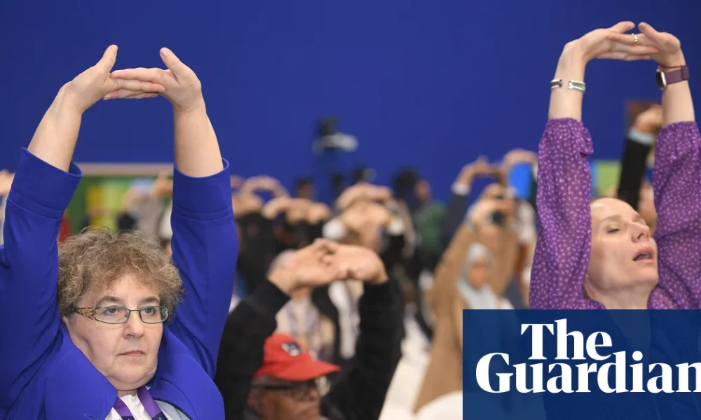 ‘A potential treasure trove’: World Health Organization to explore benefits of traditional medicines | Global health