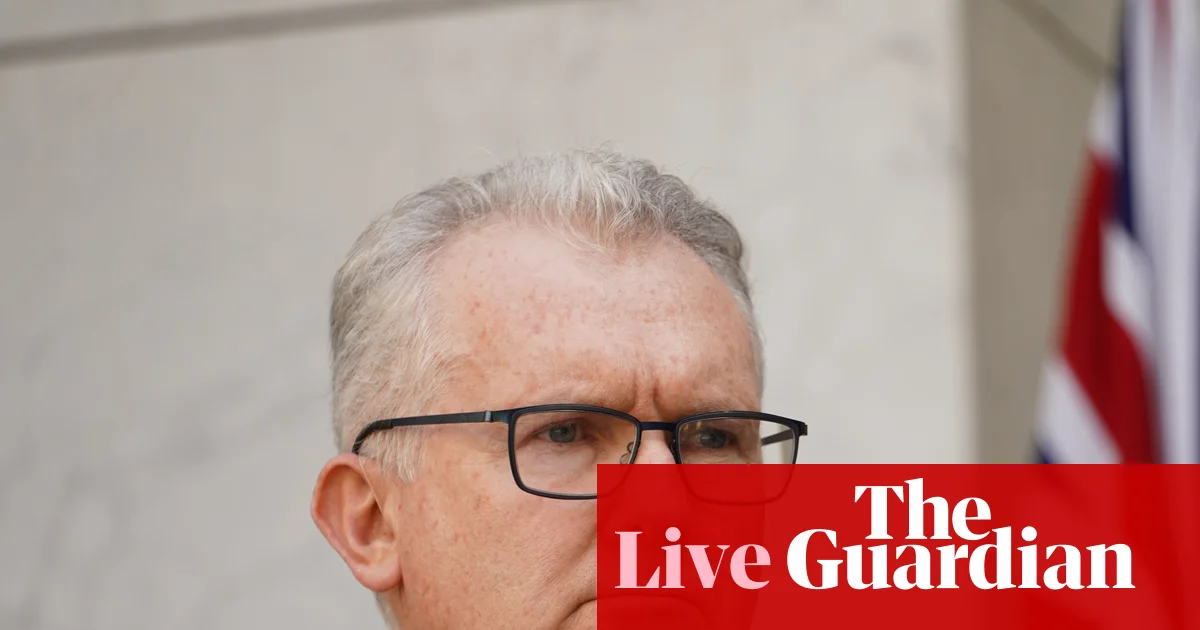Australia news live: Labor launches database logging all hate crime charges; former federal Liberal MP Katie Allen dies | Australia news