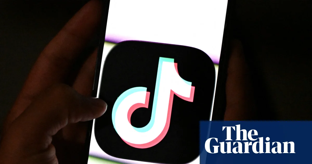 ‘A gamechanger’: 200,000 UK small businesses sign up to TikTok Shop | TikTok