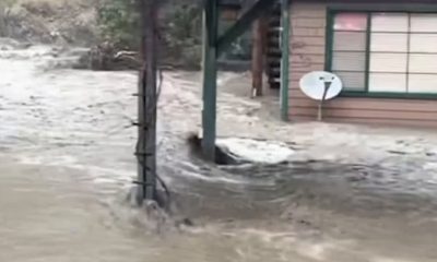 California hit by deadly floods as atmospheric river storm strikes | News