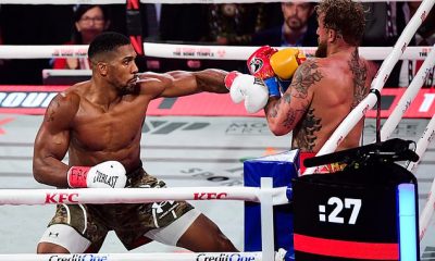 Anthony Joshua car crash LIVE: Officials reveal suspected cause of smash which killed two men and left two-time heavyweight champion injured