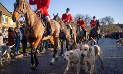 Boxing day hunts to be thing of the past with trail hunting set to be banned
